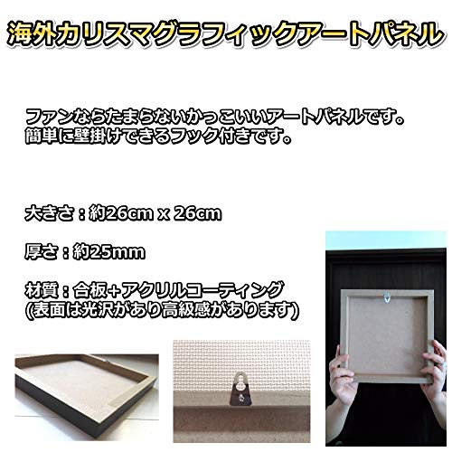 Amazon.co.jp: ロジャー・フェデラー プロテニス 海外スポーツ